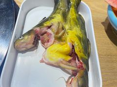 -铭记蛙小仙·活蛙畅享(CBD万达广场店)