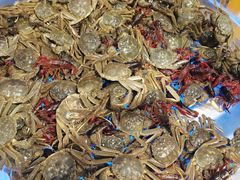 -全盛海鲜烤肉自助(新玛特店)