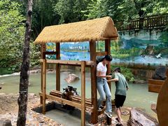 -广州白江湖森林公园