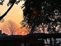 -南山植物园