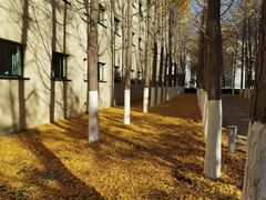 -北京国家会计学院