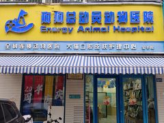 -总动员动物医院(宝丰院店)