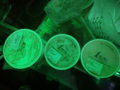 -1点点(领事馆店)