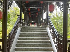 -合肥滨湖国家森林公园