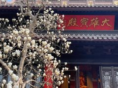 -灵谷景区