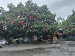 -成都南湖公园