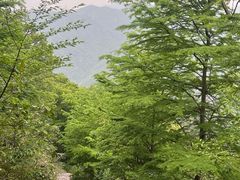 -北仑森林植物园