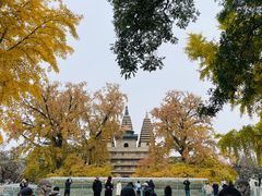 -北京石刻艺术博物馆