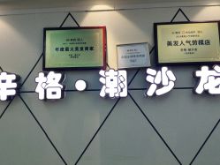 点击看大图 -辛格·潮沙龙