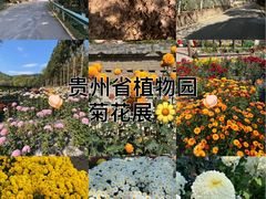 -贵州省植物园