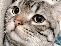 -暖阳宠物医院·犬猫康复中心·骨科