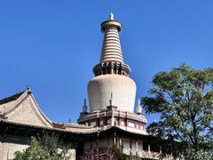 -张掖大佛寺景区