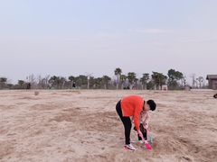 -瑶湖郊野森林公园