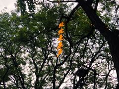 -万泉公园