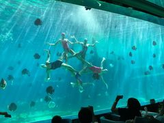 -瑞德姆美人鱼海底演艺主题餐厅(亚龙湾店)