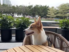 -星巴克臻选(广州二沙岛文立方店)