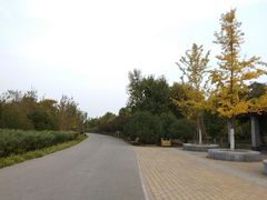 -永定河休闲森林公园