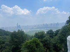 -岳麓山风景名胜区