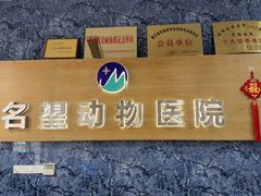 -瑞派名望志远动物医院·猫科·內科·异宠专科(直港大道店)