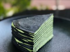 开心果千层-一尺花园(安和花园店)