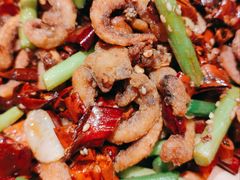 干煸鱿鱼须-渔家风味·鲅鱼水饺·央视展播·海鲜天津菜(开发区店)