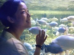 -成都浩海立方海洋公园