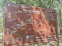 -紫金山山顶公园