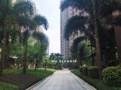 -星湖商业城