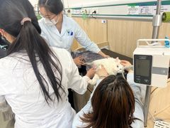 -中国农业大学动物医院