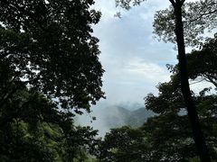 -黄埔油麻山森林公园