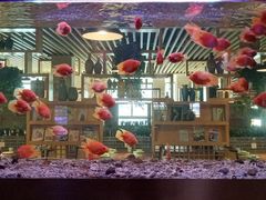 -御池园(顾村公园店)