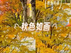 -东莞植物园