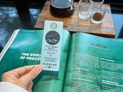 -Torch Coffee 炬点咖啡