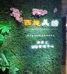 -西施无菌半永久纹绣眉眼影唇轻增发纹发际线
