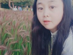 -北坞公园