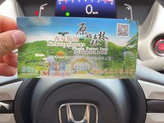 -西双版纳原始森林公园