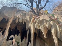 -嵖岈山风景区