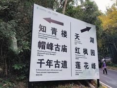 -广州市帽峰山景区