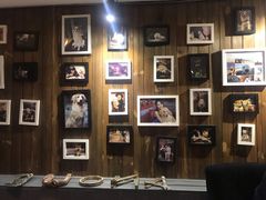 大堂-百好乐宠物友好餐厅(朝外大街店)