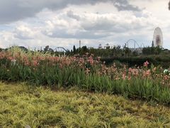 -七彩云南欢乐世界