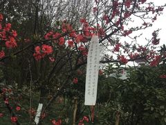 -西南政法大学(沙坪坝校区)