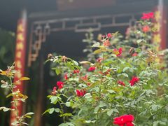 -东湖落雁景区