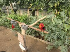 -南宫五洲植物乐园