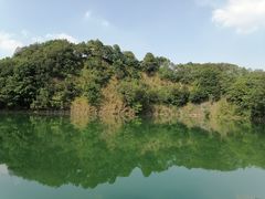 -王借岗森林公园