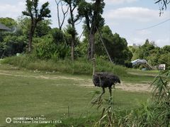 -宁波野生动物园