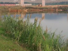 -光明小镇欢乐田园