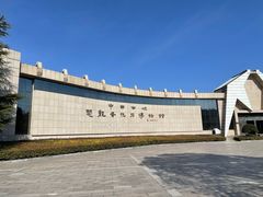 -中国西峡恐龙遗迹园