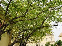 -北京张裕爱斐堡酒庄