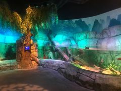 -沈阳海洋探索中心