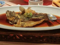 -香然会·园林雅宴(陆家嘴店)